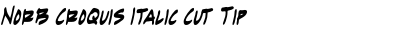 NorB Croquis Italic Cut Tip